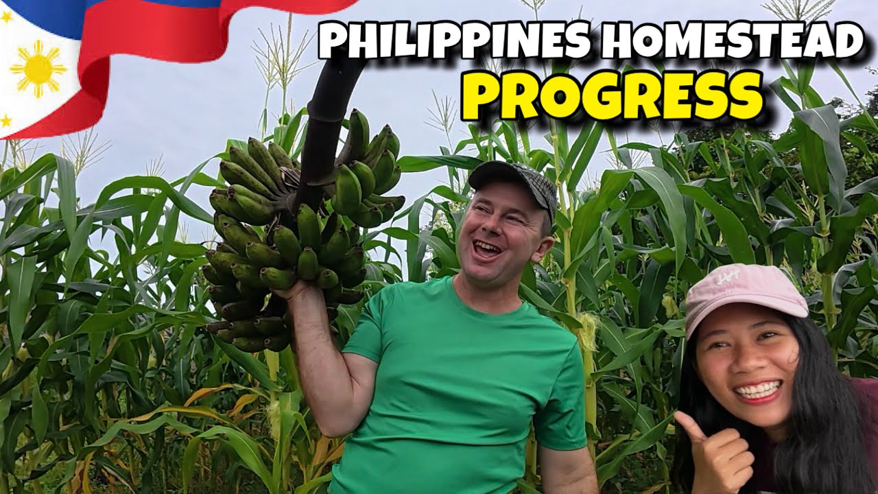 Homestead Update Philippines Couple Vlog