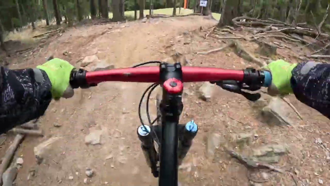 Wexl Trails 08.11.2025 