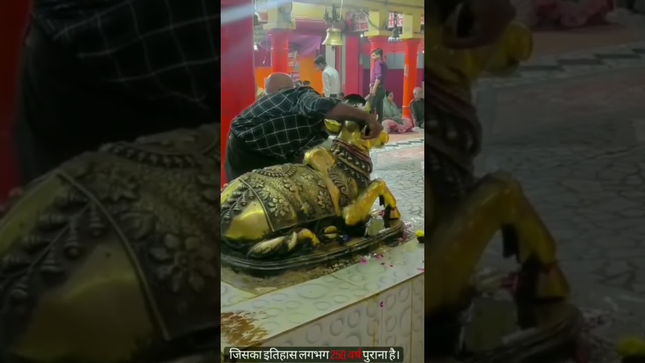 250 year old Vankhandeshwar Mandir,P.Road, Kanpur #shorts #kanpur