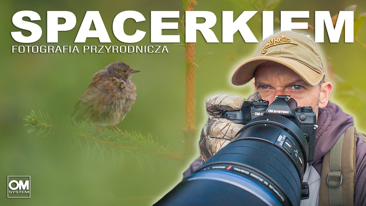 SPACERKIEM - Fotografia Przyrodnicza // OM System // 300mm PRO // Dzika Irlandia // MICRO 4/3