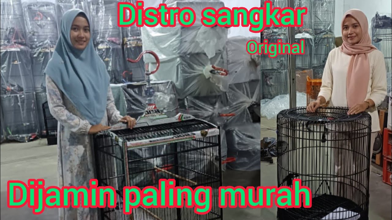 Pengusaha muda sukses...dagang udah 5 tahun ...mantap 👍