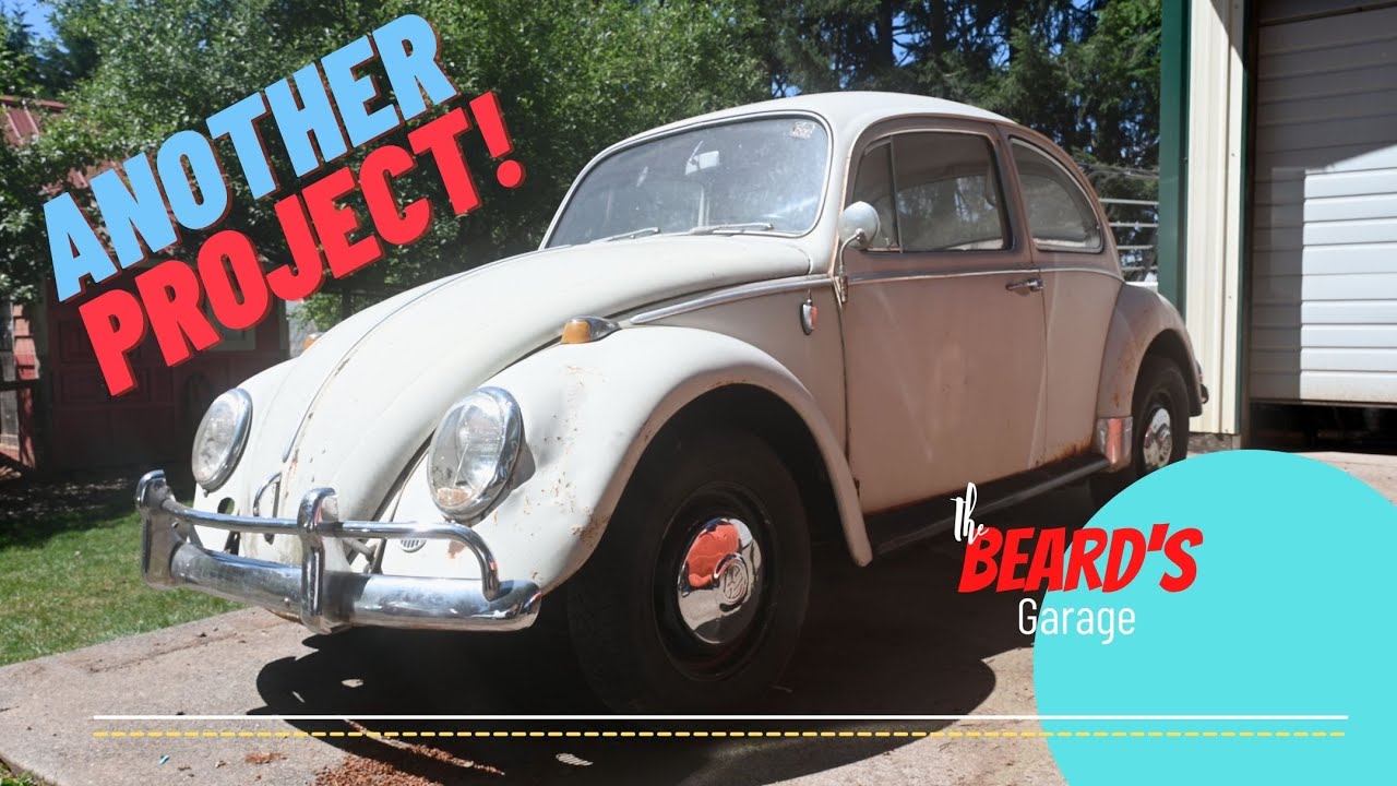 1966 VW Beetle Restoration: Initial Tear Down