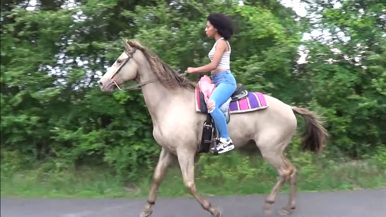 2-й ежегодный велопробег Country Gyrls and Boys в Хуксе, Техас