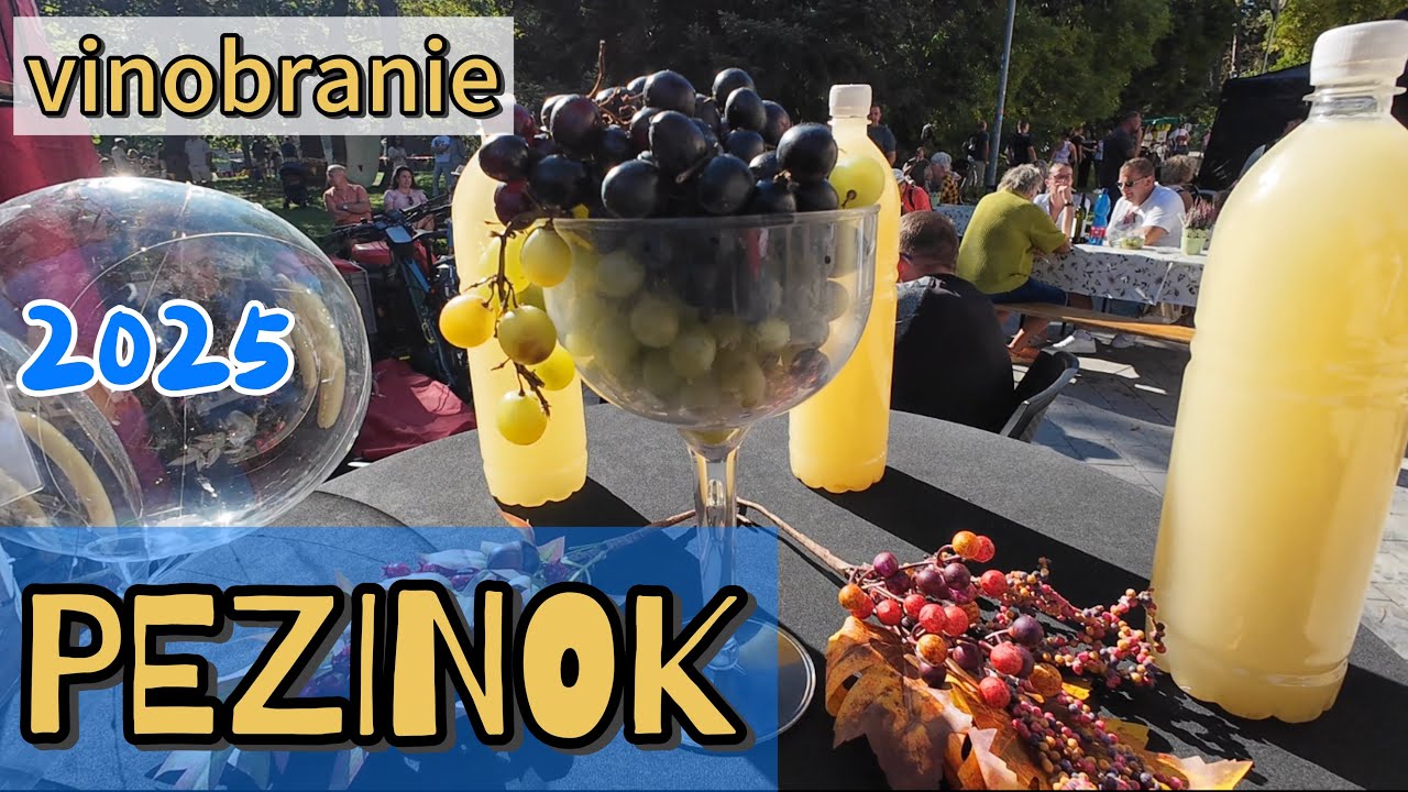 PEZINOK🍇vinobranie 2025