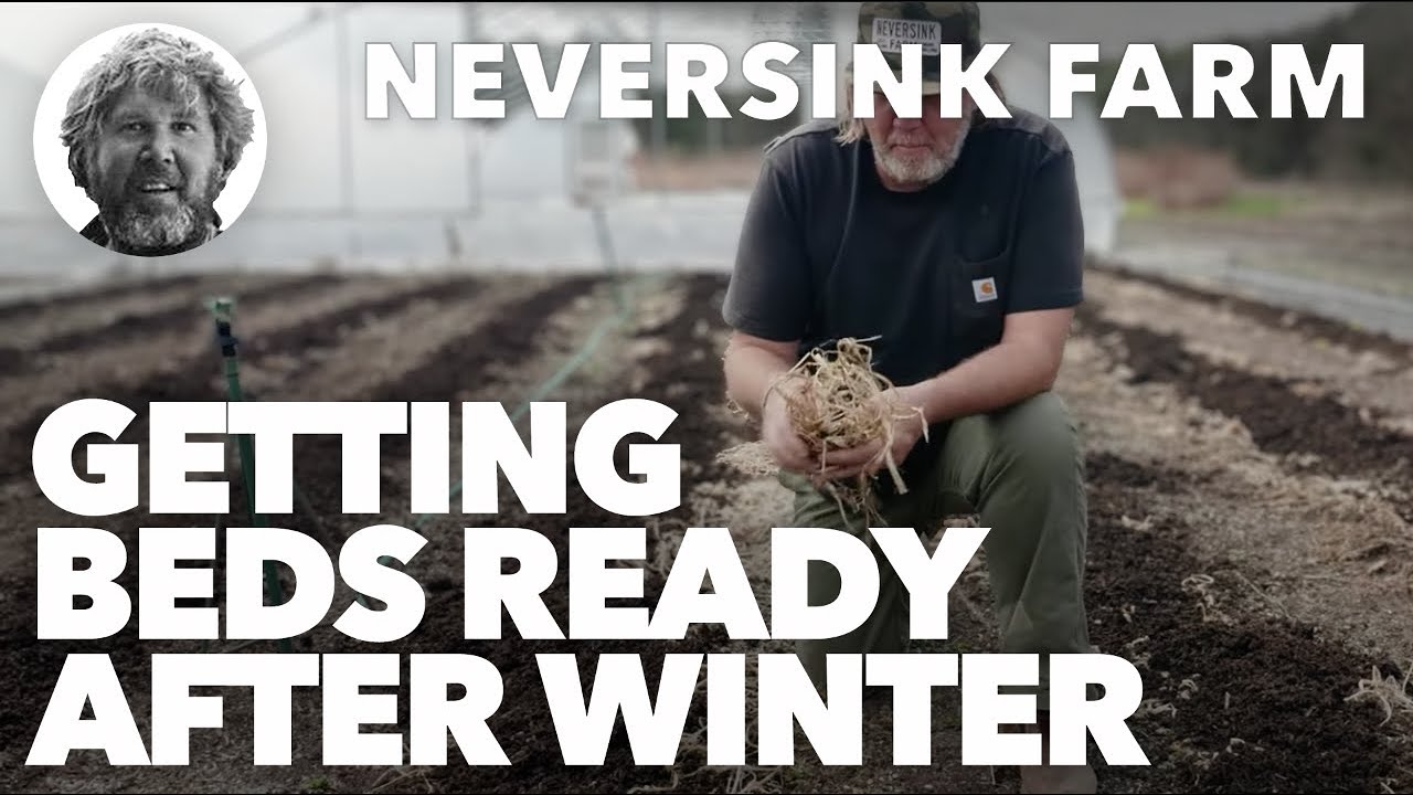 Getting the beds ready for planting after winter cover crop