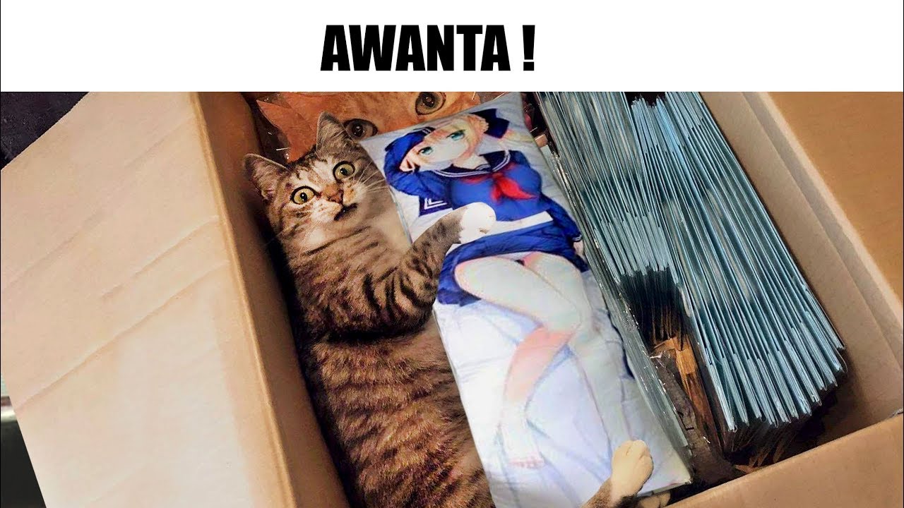 MEMES RANDOM #214