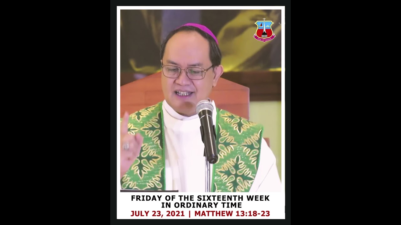 Homily for Friday of the 16th Week in Ordinary Time