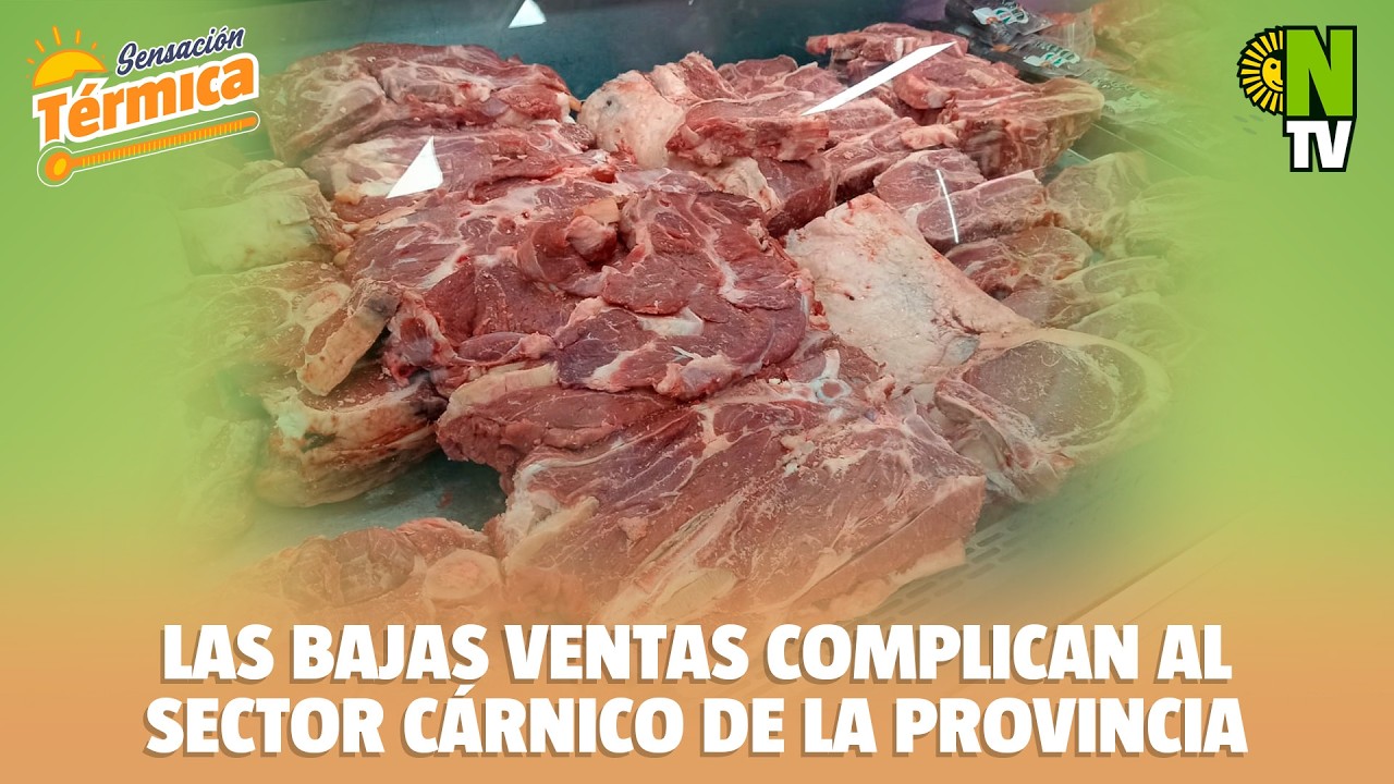 🥩 “No nos queda otra que ir reduciendo personal”: fuerte advertencia del sector cárnico en el Chaco