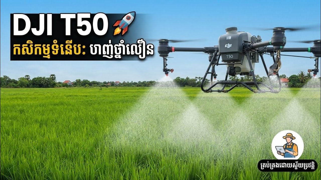 Drone dji T50 spraying protect rice 🌾🌾😮