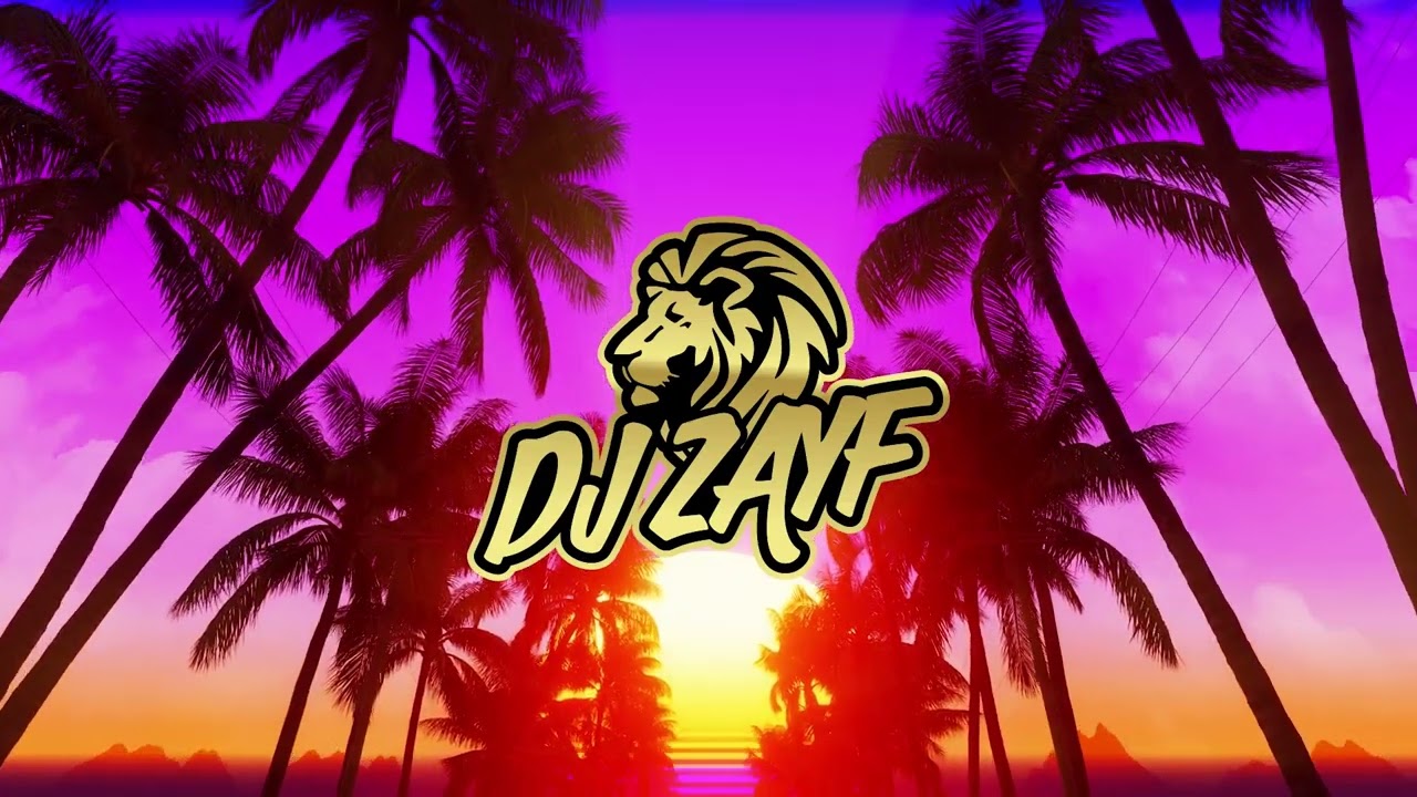 DJ ZAYF - Pal Pal x Addicted
