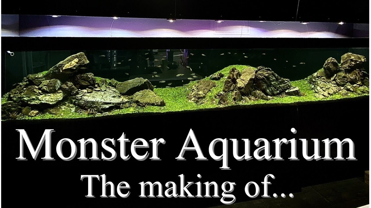 450cm Monster Aquarium - 