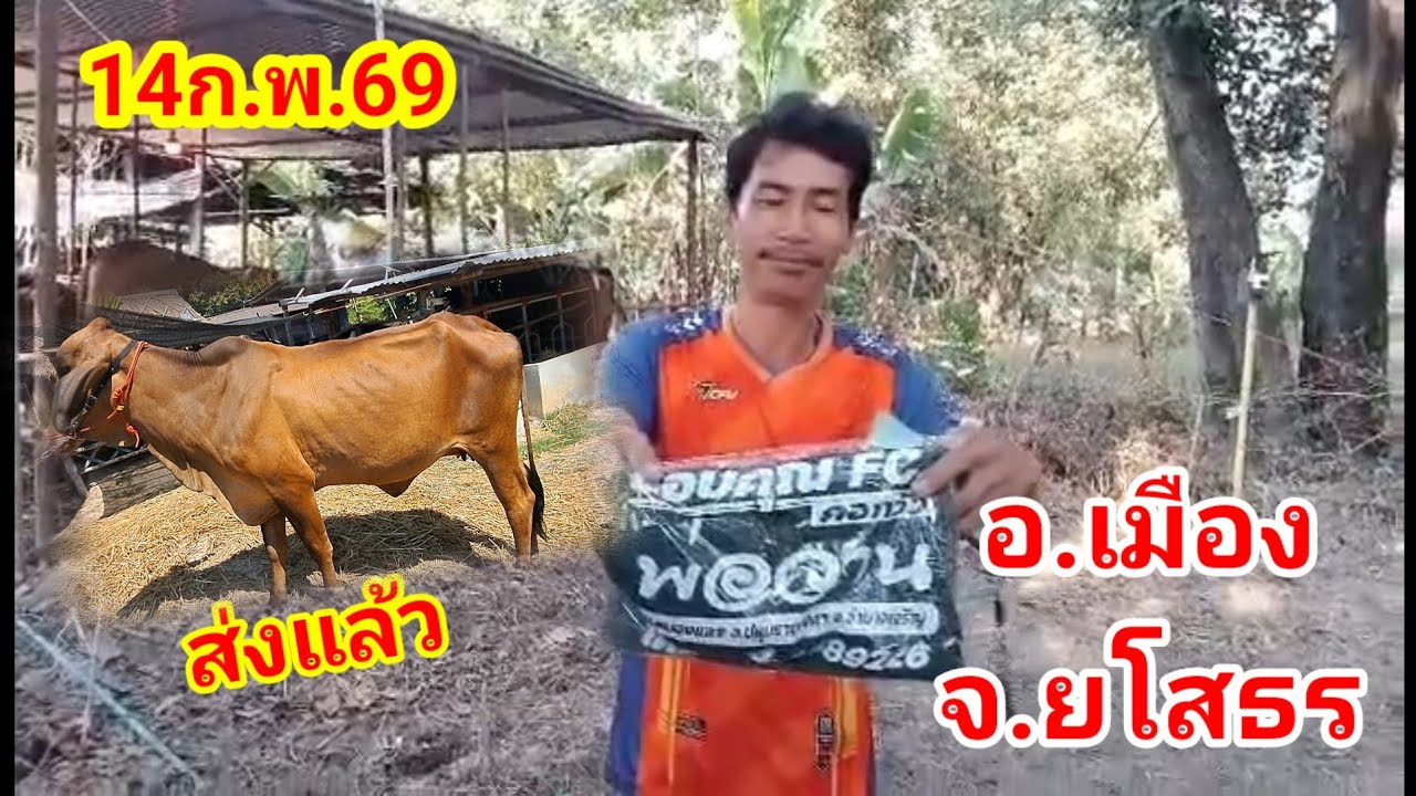 จัดส่งโดย บ่าวยันต์ /ทีมงานพ่อวาน/14ก.พ.69