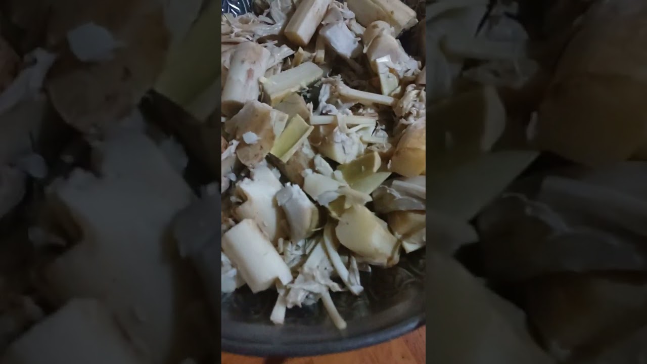 Cooking our menu for lunch native ubod with coconut milk! 