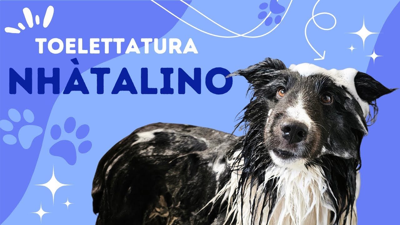 TOELETTATURA NHATALINO