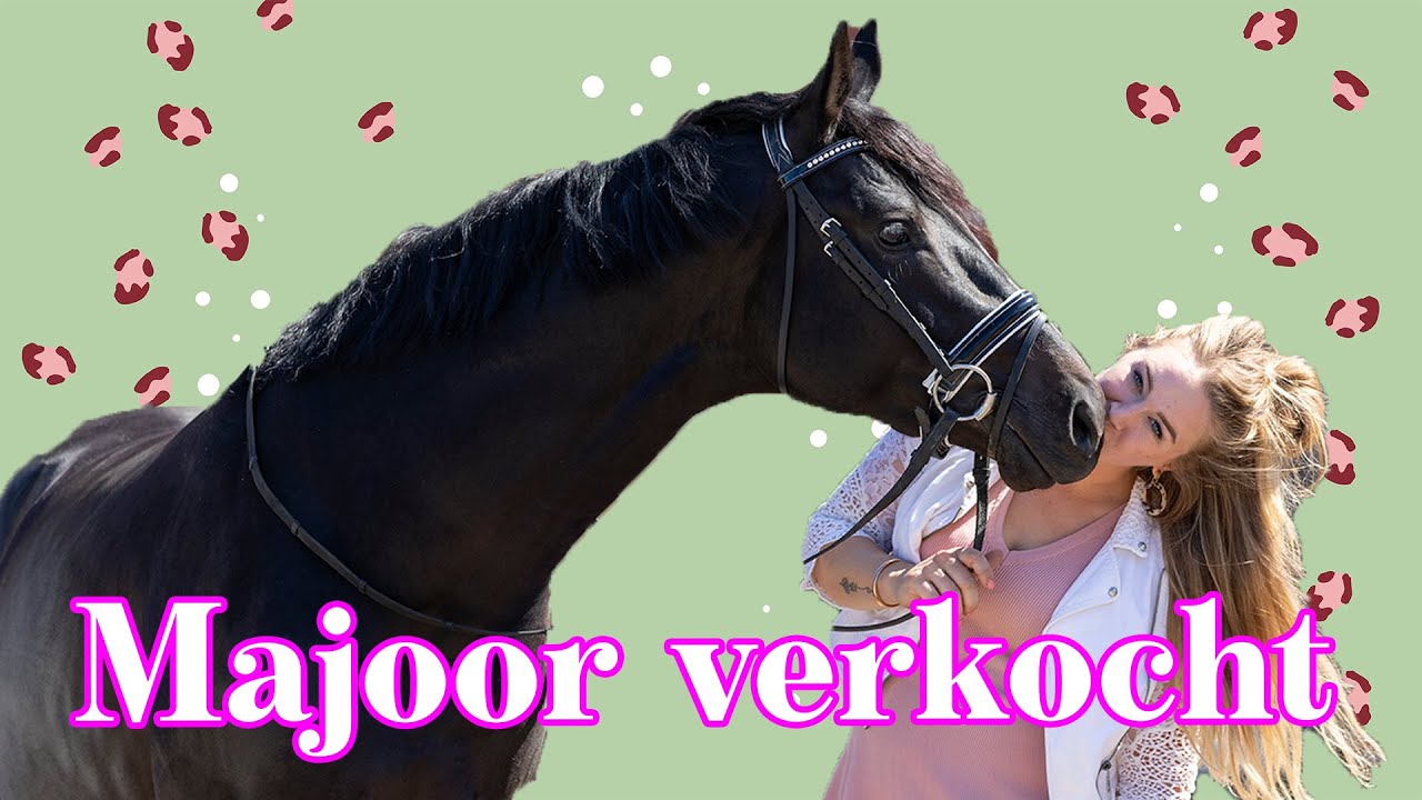 Daan verdrietig Majoor gaat weg, Nieuwe Fries voor het eerst rijden *Manege de Arckelhoeve*