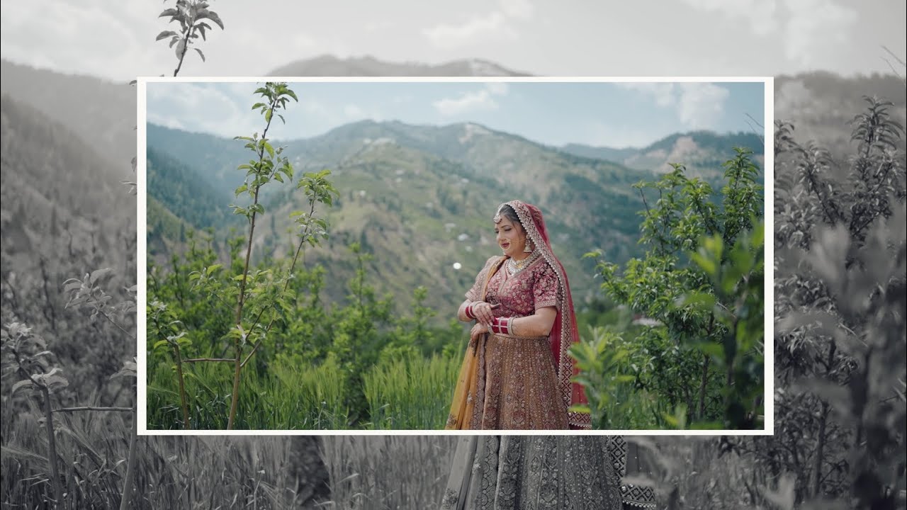 Latest Wedding Highlight | Himanshu 💕 Nitika | Himachali Wedding | Cinematic Wedding Story | love 