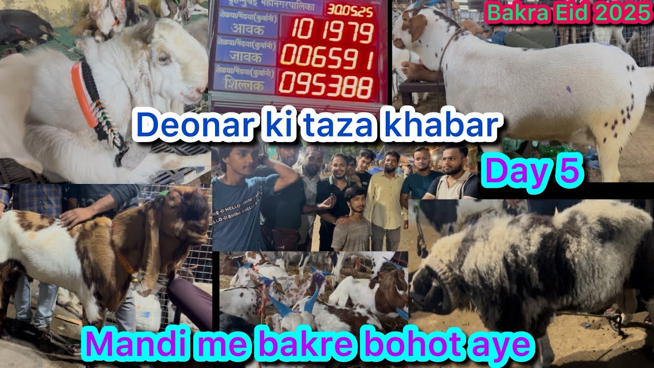 Deonar ki taza khabar Day 5|deonar me bakre bohot aye ||Rizwanvlogs203 |deonar bakra mandi.