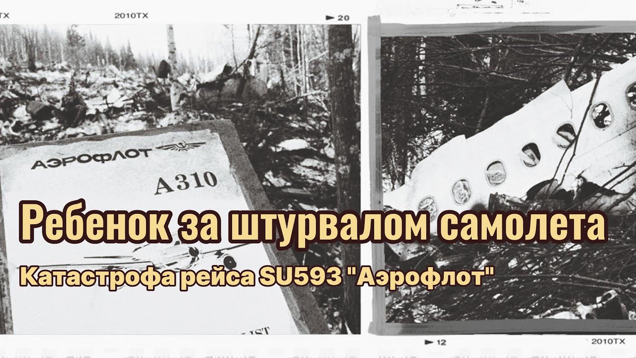 Авикатастрофа рейса 593 