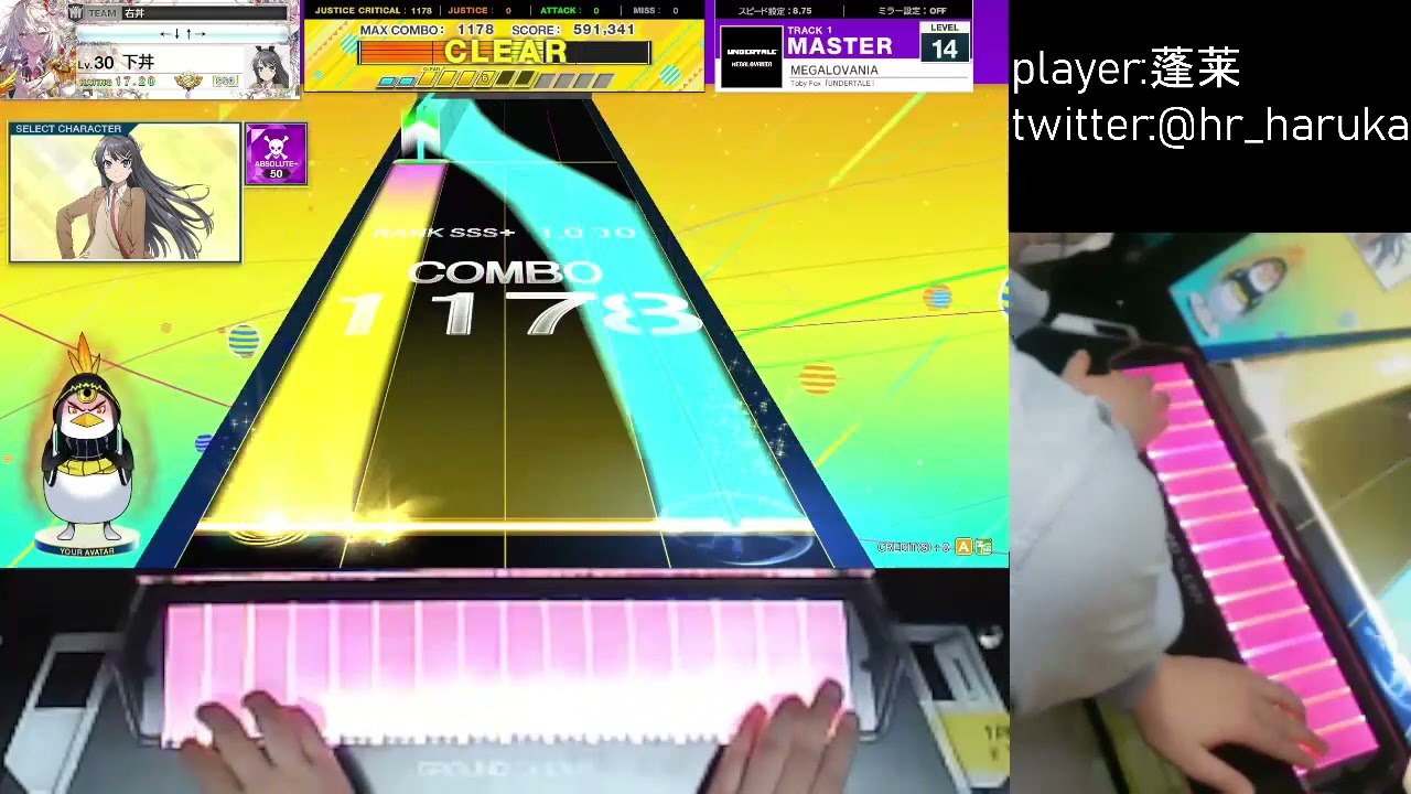 【CHUNITHM】MEGALOVANIA(MASTER)AJC 手元