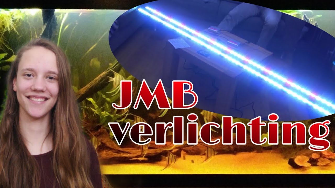 De VERLICHTING van mijn 2M AQUARIUM, JMB Aqua Light //Nickey//