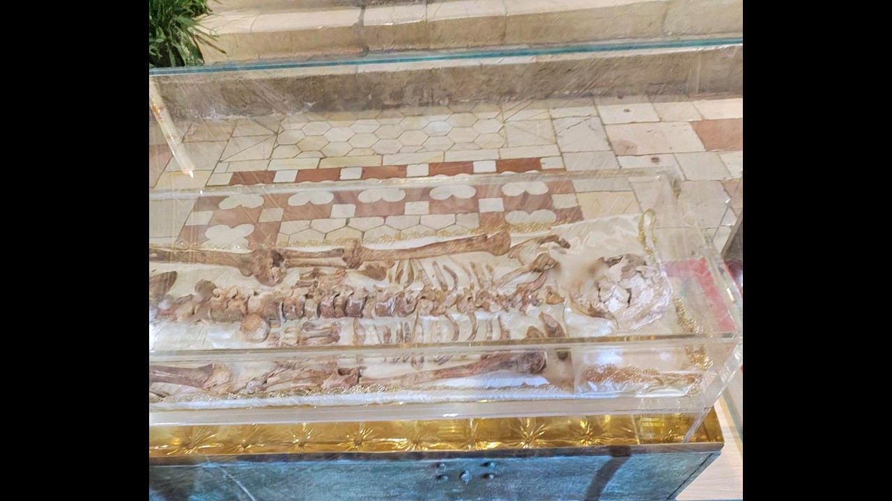 OSTENSIONE SPOGLIE SAN FRANCESCO 2026