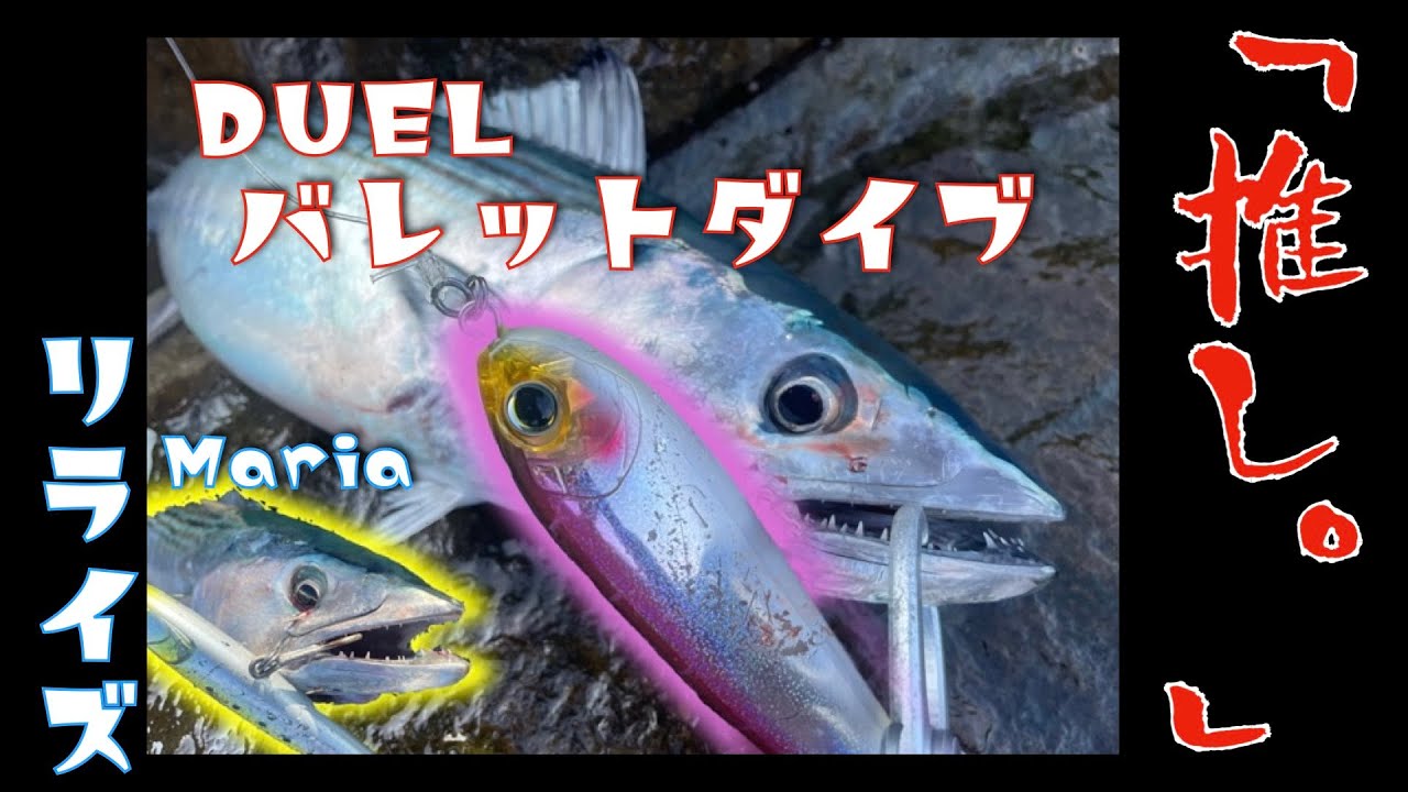 【ロックショア】優秀バレットダイブ。そして安定のリライズ。