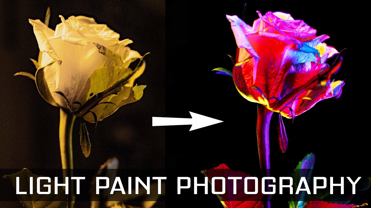 Light Painting A Flower - How To Do Fine Art Photography
