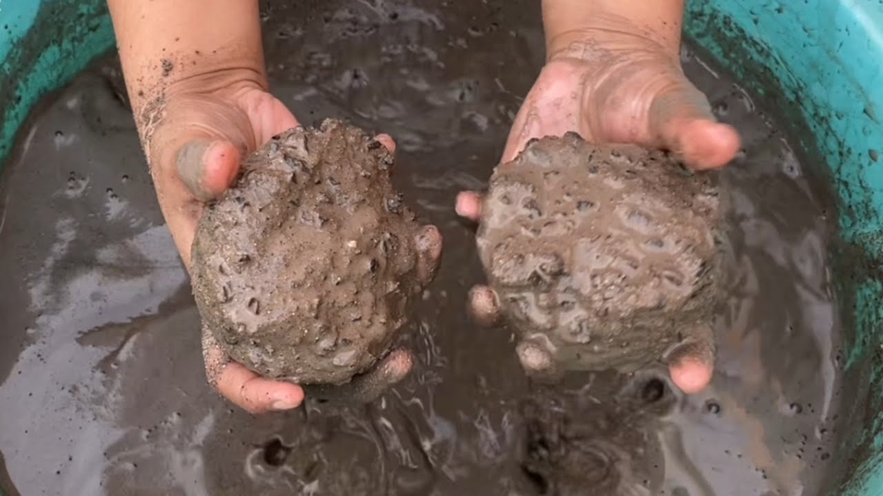 New|Black gritty sand|cup shapes|RS Craving Asmr💦💦#asmr #relax💕