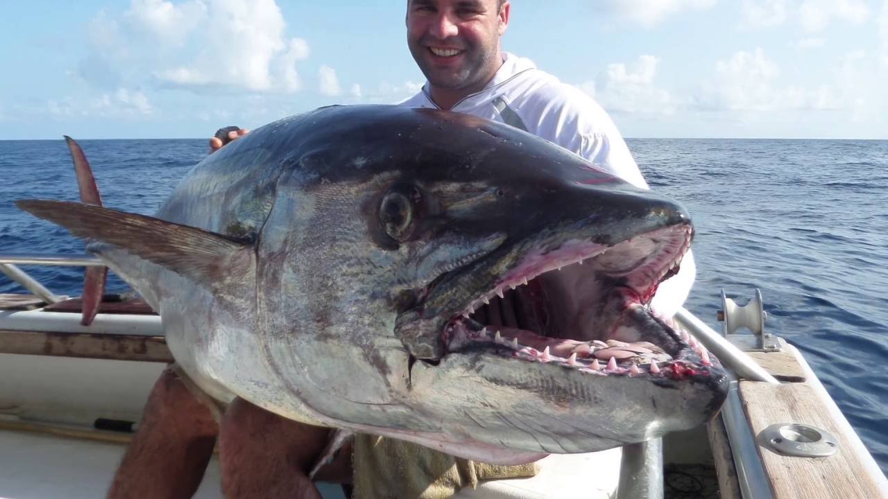 Tanzania Fishing Sportfishing Latham Island Jiggingmaster Northeurope 2016