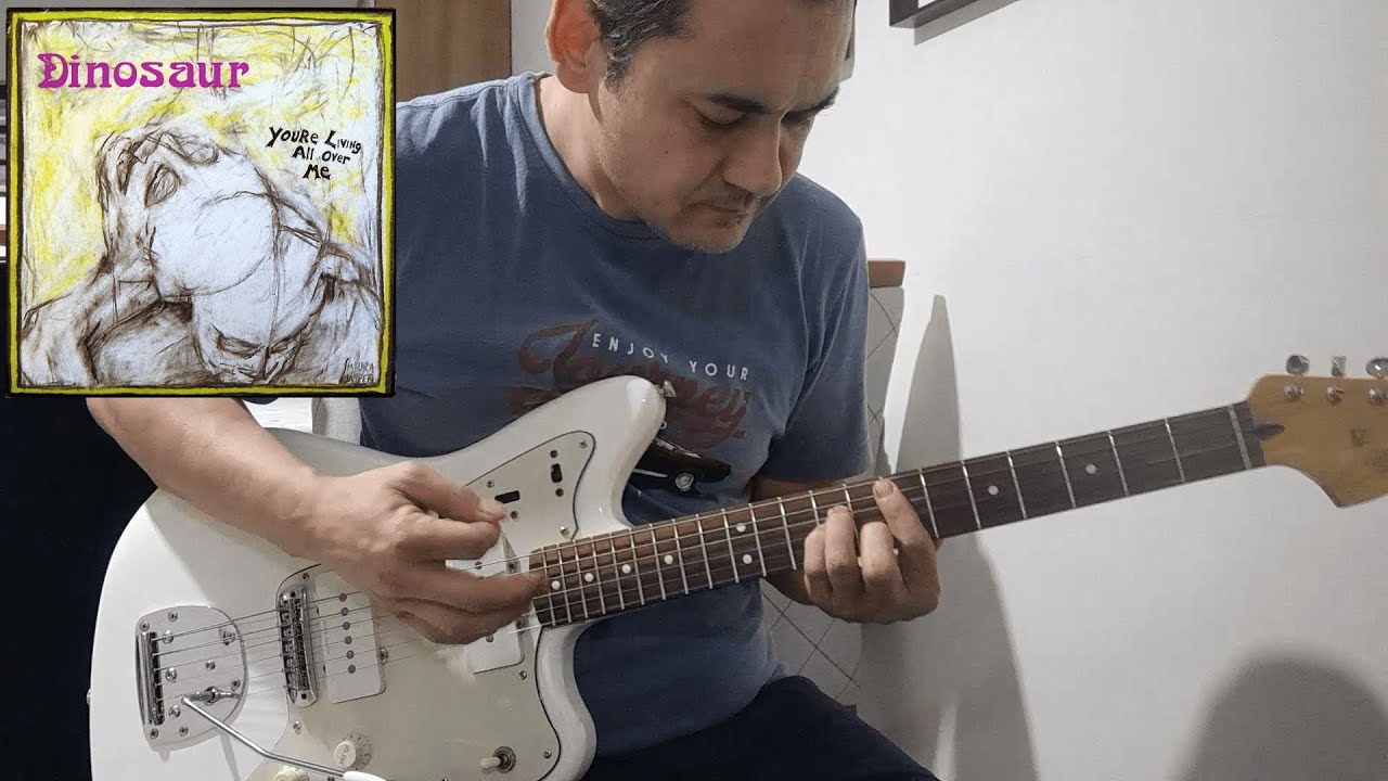 Dinosaur Jr - Lose (guitar cover)