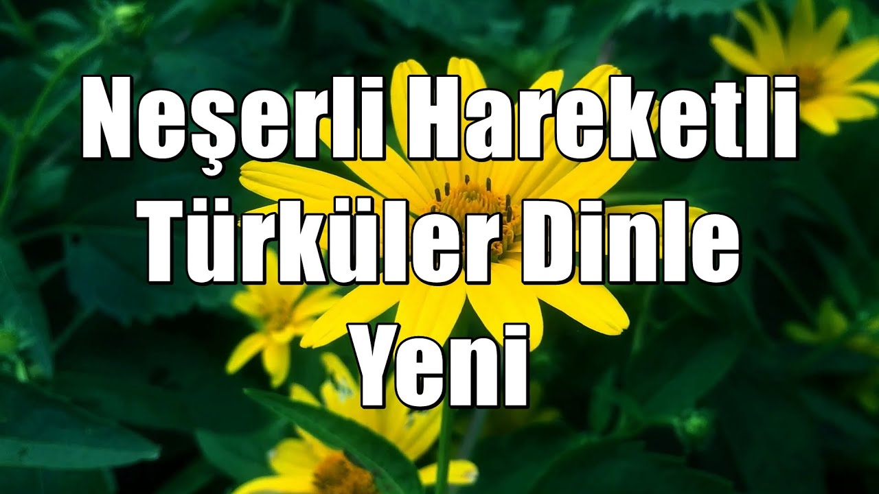 Neşeli Hareketli T&uuml;rk&uuml;ler Dinle Yeni [HD - KESİNTİSİZ] #t&uuml;rk&uuml; #t&uuml;rk&uuml;ler