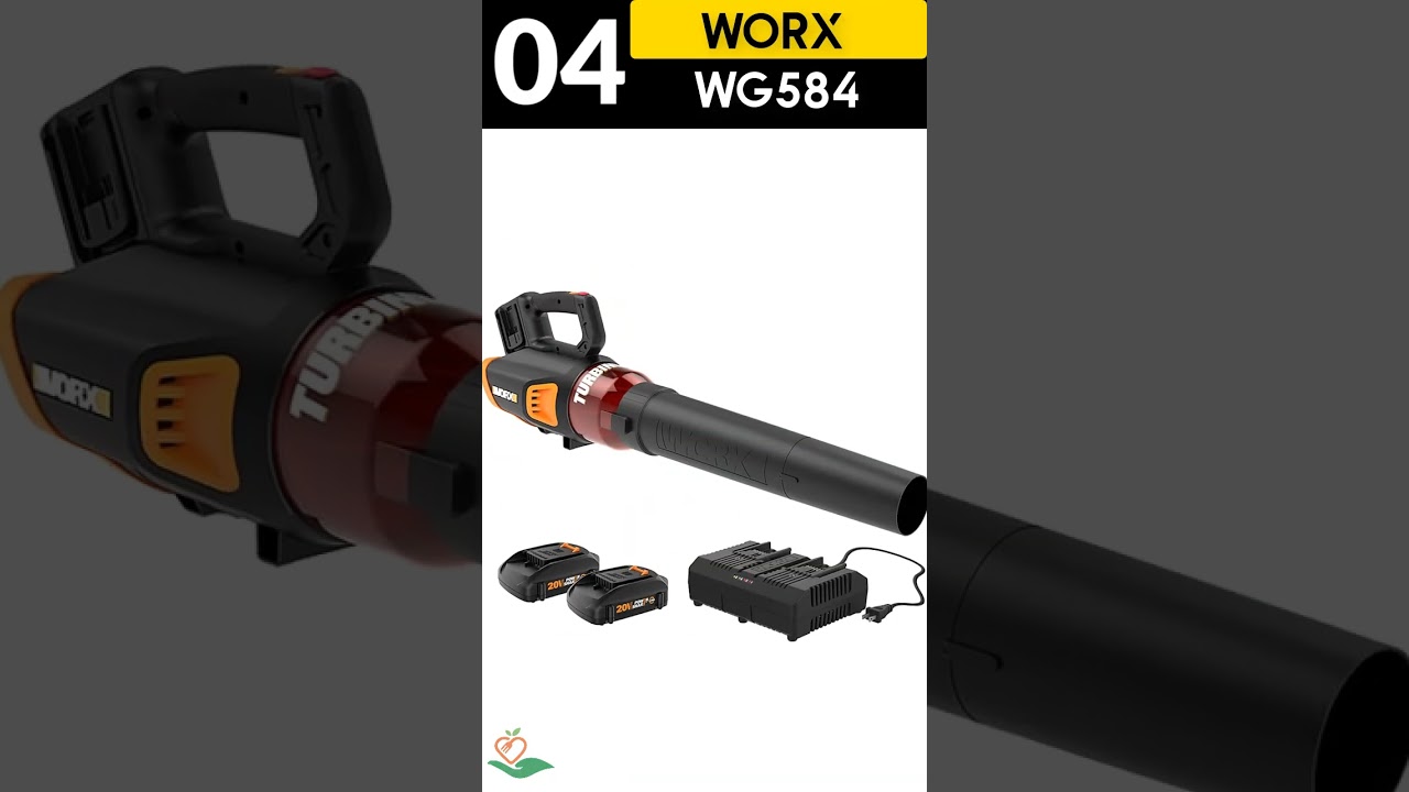 ✅ Top 5:🍃🍂 Best Electric Leaf Blower Cordless  [ best leaf blower cordless ]  