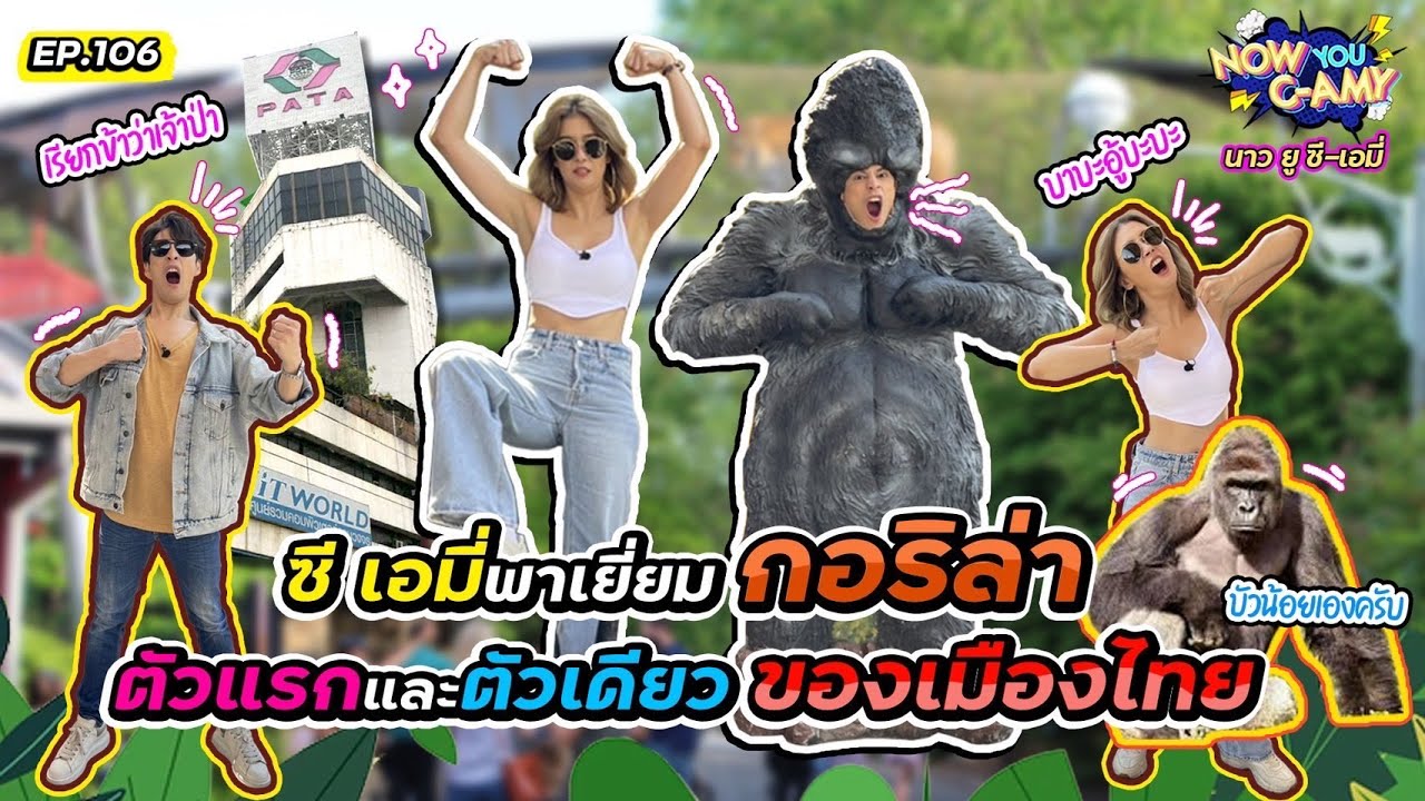Now You C-Amy EP.106 I ซีเอมี่ พาเยี่ยมกอริล่า ตัวแรกและตัวเดียว ของเมืองไทย