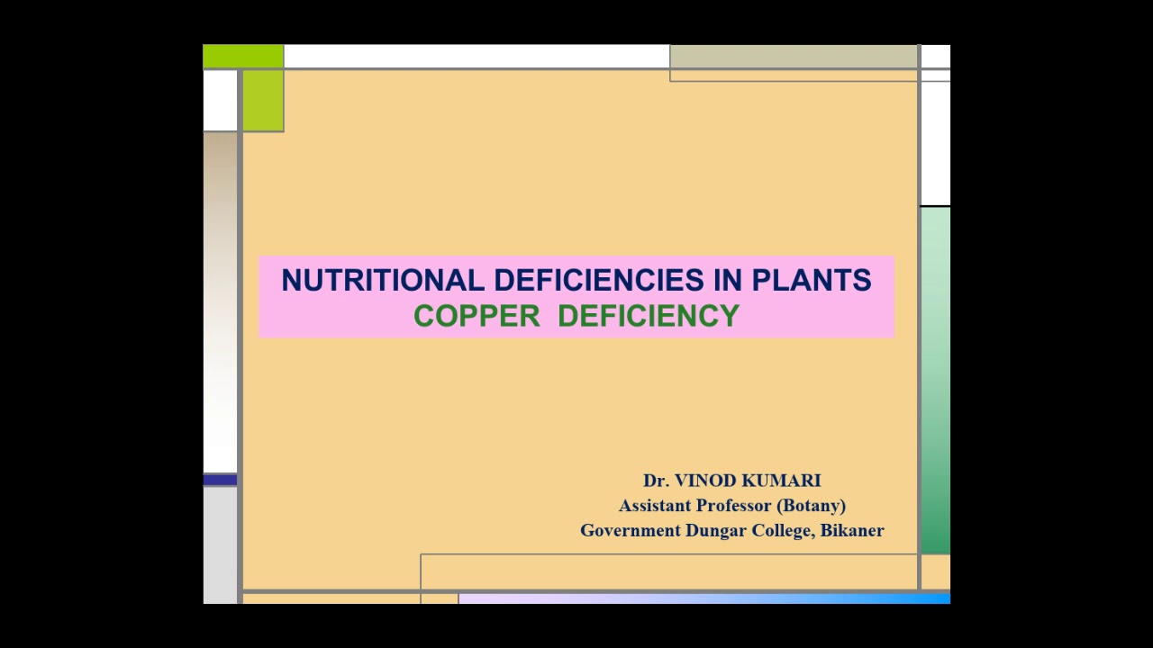 Nutritional Deficiencies in Plants- Copper Deficiency, M.Sc. Final( Botany).