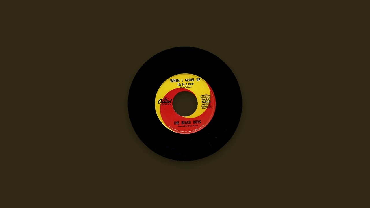 The Beach Boys - When I Grow Up To Be A Man (AI Remix)