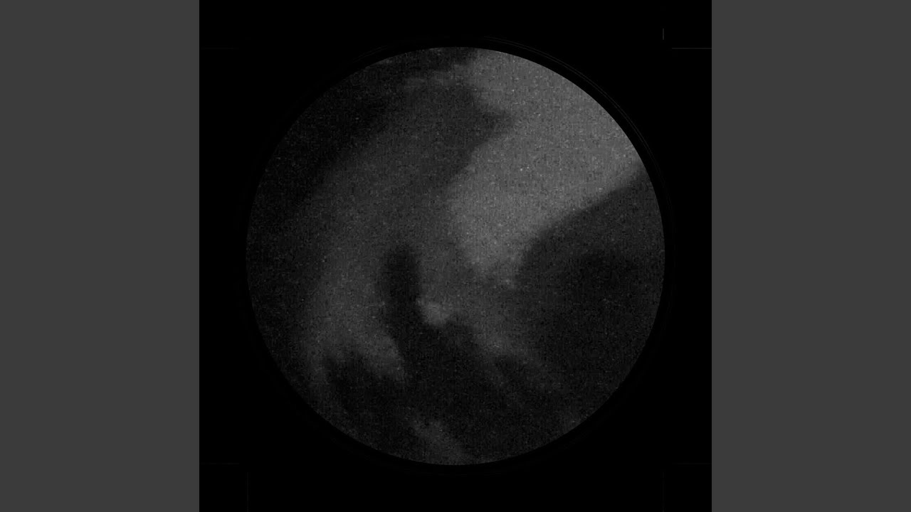 Chronostasis