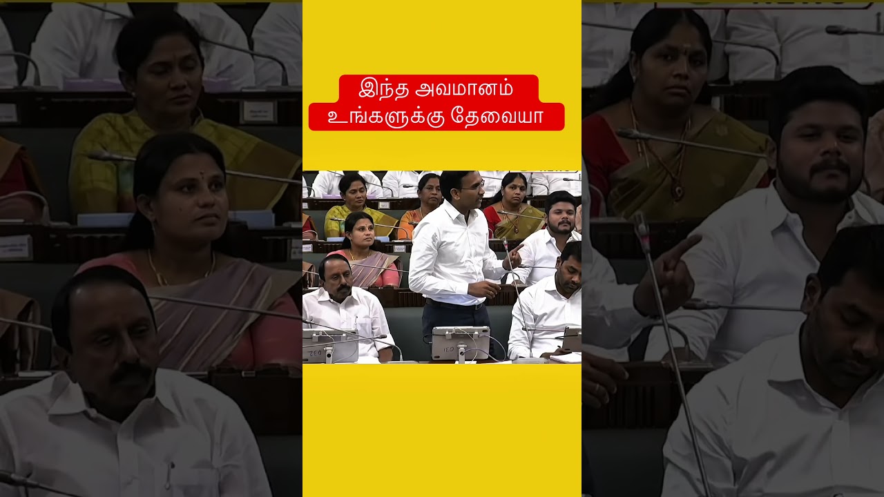 Minister replies to DMK MLA..#tvkvijay #vijaycm #thalapathyvijay #tngovernment