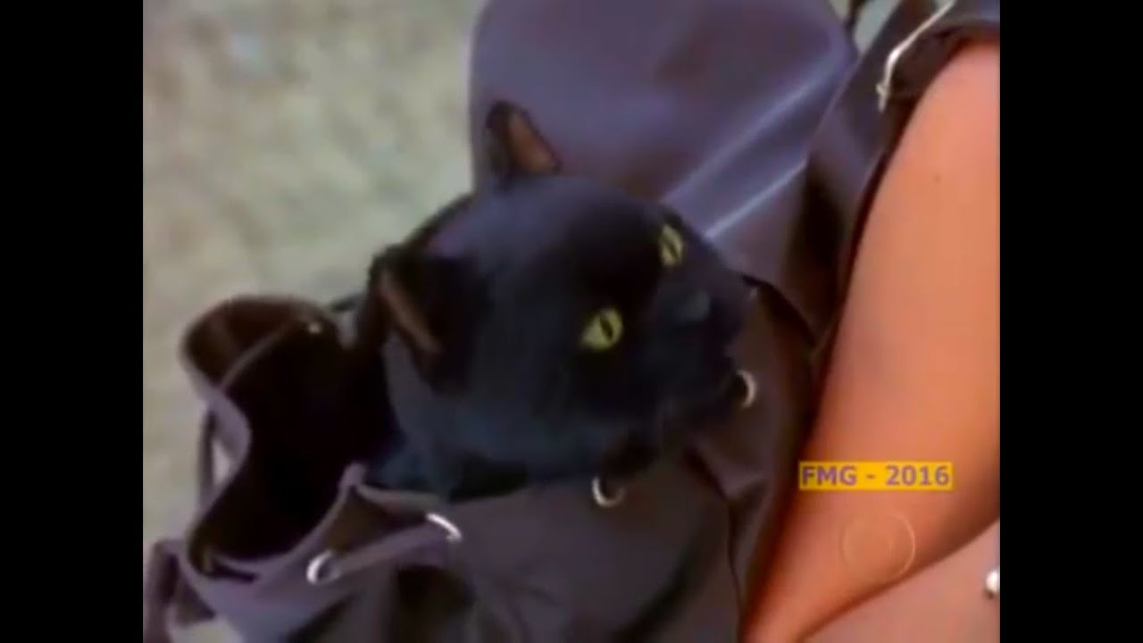 Compilado de Salem, Sabrina vai a Roma.