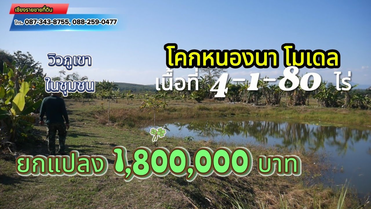 CR68085 โคกหนองนาโมเดล 4-1-80 ไร่ ขาย 1,800,000 บาท ต.ท่าข้าวเปลือก อ.แม่จัน  จ. เชียงราย
