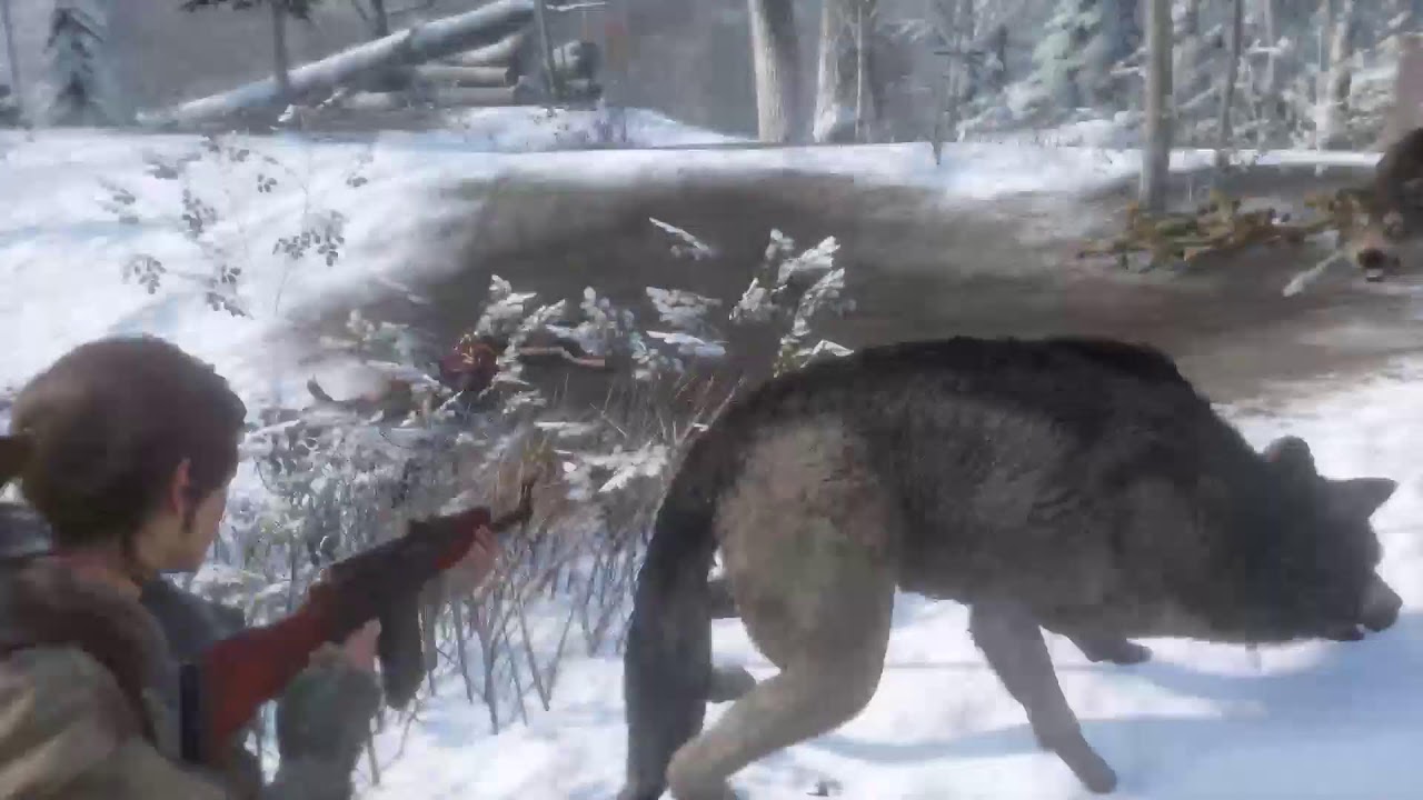 Tomb Raider ceremony Edition live.