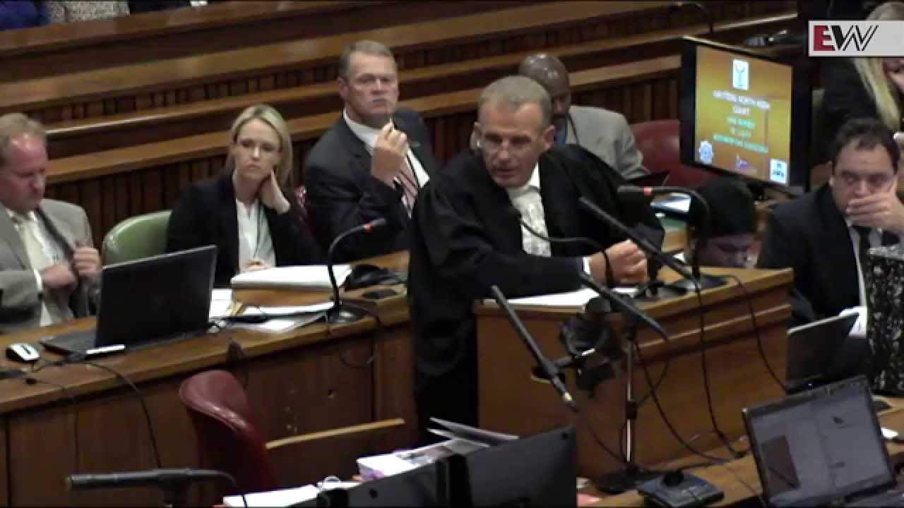 Nel: Oscar knew Reeva was behind the door