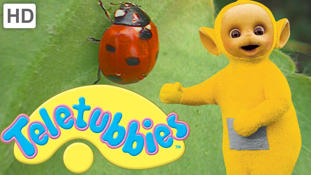 Teletubbies: Ladybirds (Beetles) - Full Episode