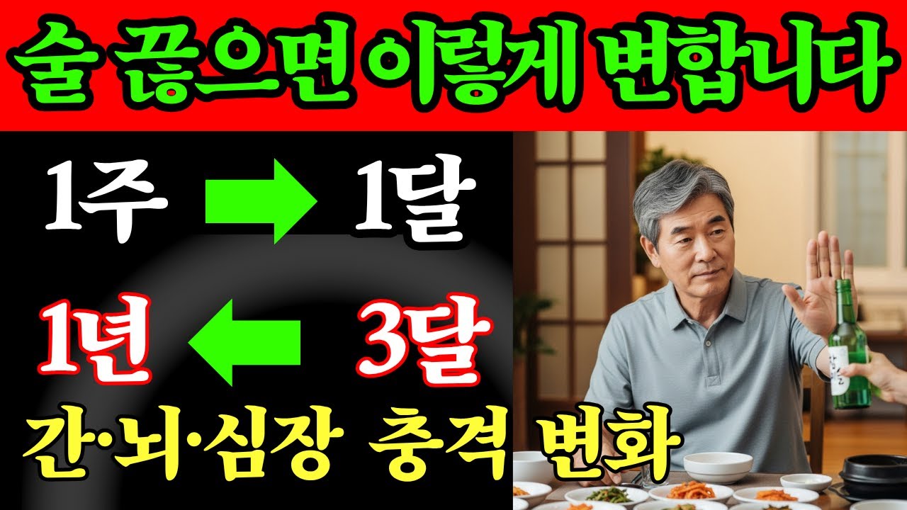 술 끊으면 몸이 이렇게 변합니다, 1주일 vs 1개월 vs 3개월 vs 1년, 60세 이후 간·뇌·심장에 나타나는 변화 | 노후건강 | 시니어건강 | 장수비법 | 건강채널 |