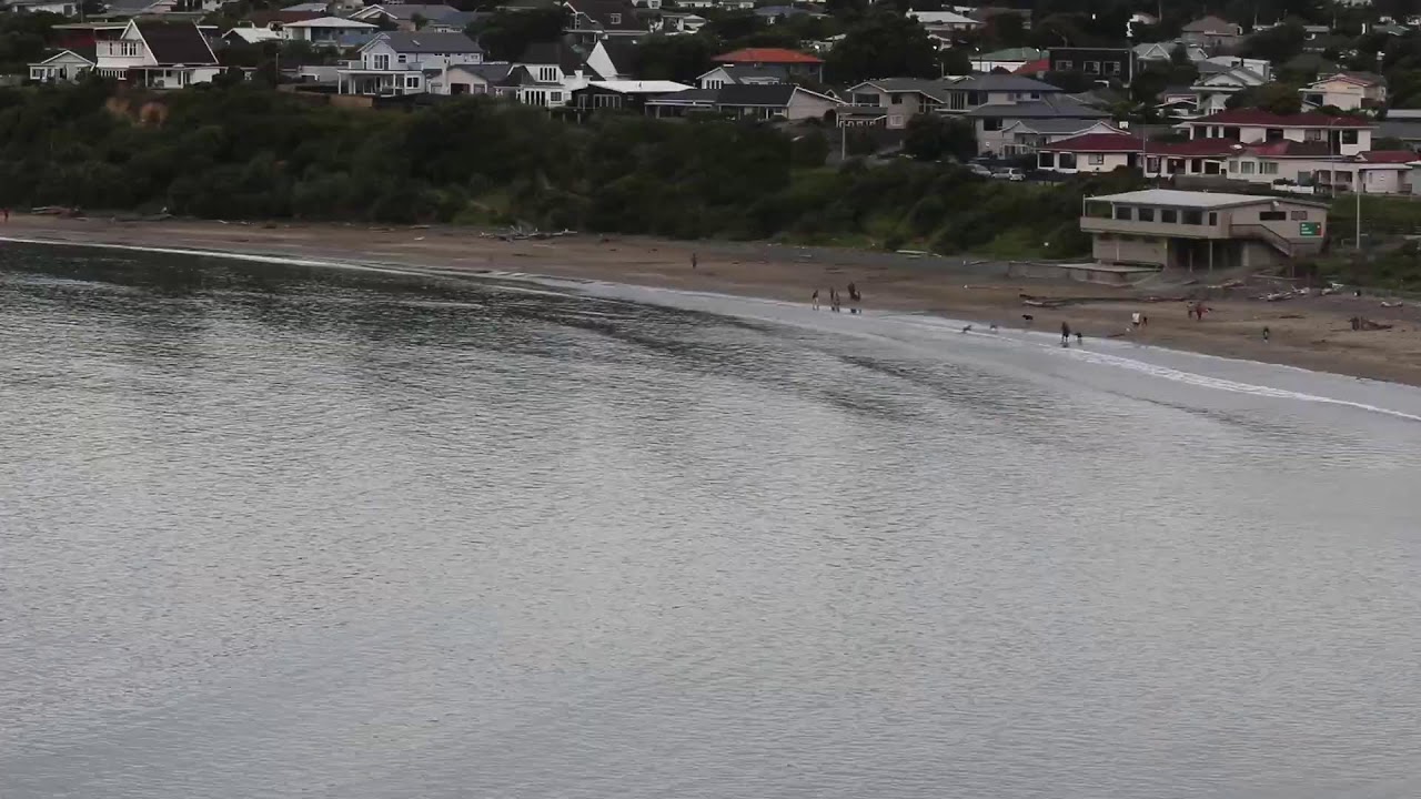 Titahi Bay surf cam live