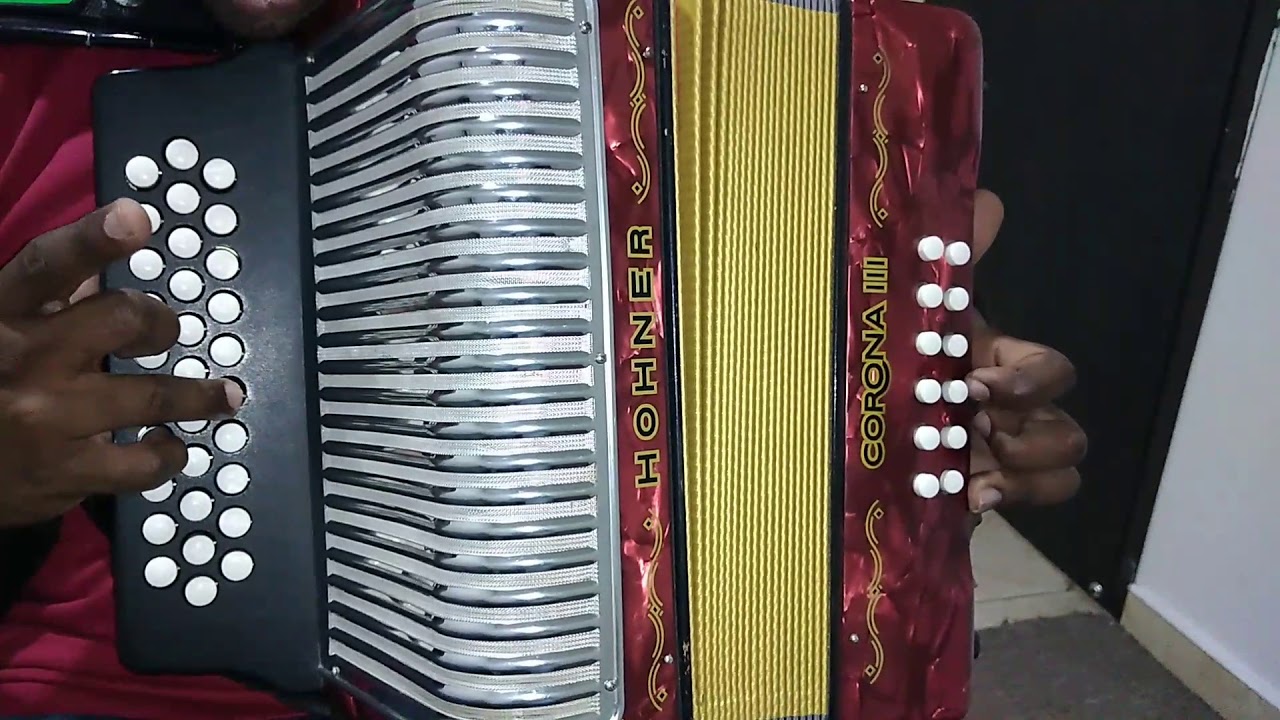 TUTORIAL HIJA DIOMEDES DIAS  (ACORDEÓN)