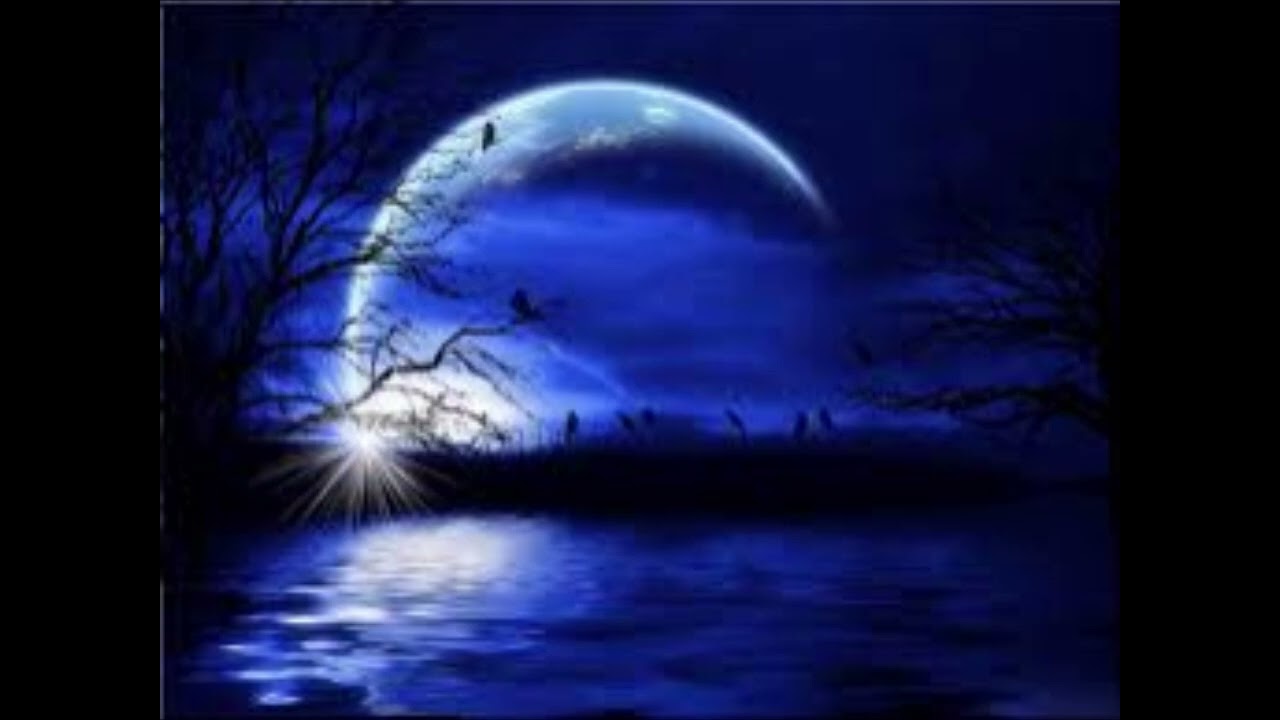 Plimbări pe Stradă