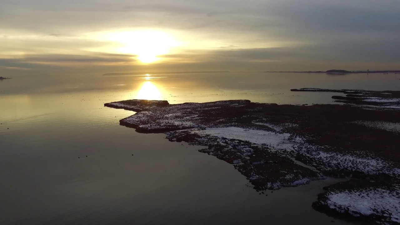 Boundary Bay Beauty