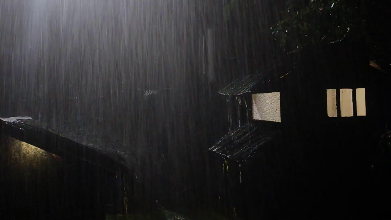 Relaxing Thunder and Rain Sounds for a Good Night's Sleep - Live Stream Ambience