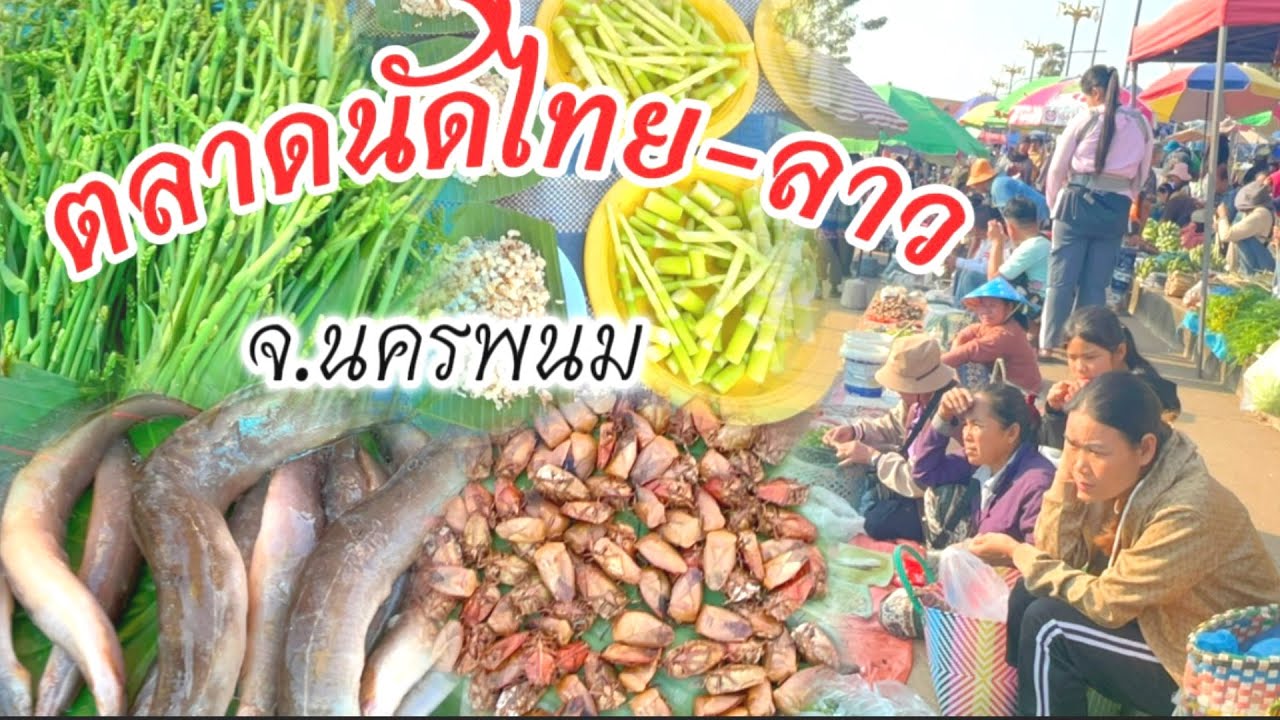 จักจั่น ปลาลด #ตลาดนัดไทย-ลาว จ.นครพนม หน่อไม้อ่อนๆ เห็ด #อาหารตามฤดูกาล #food 