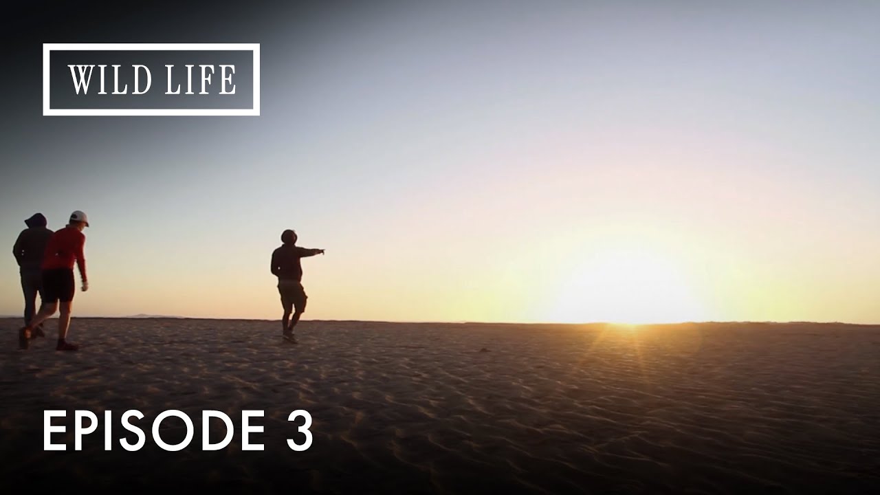 Trapped in the Namib: Kate’s Battle Through Shifting Sands |Diamonds in the Sand | Episode 3